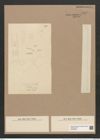 Thalassiothrix frauenfeldii Grun. (de-Toni-Nr.: Genus 67, Species 2669) Zeichnungen Sammlung Grunow Nr. 5447 (NHMW-BOT-W0373862)